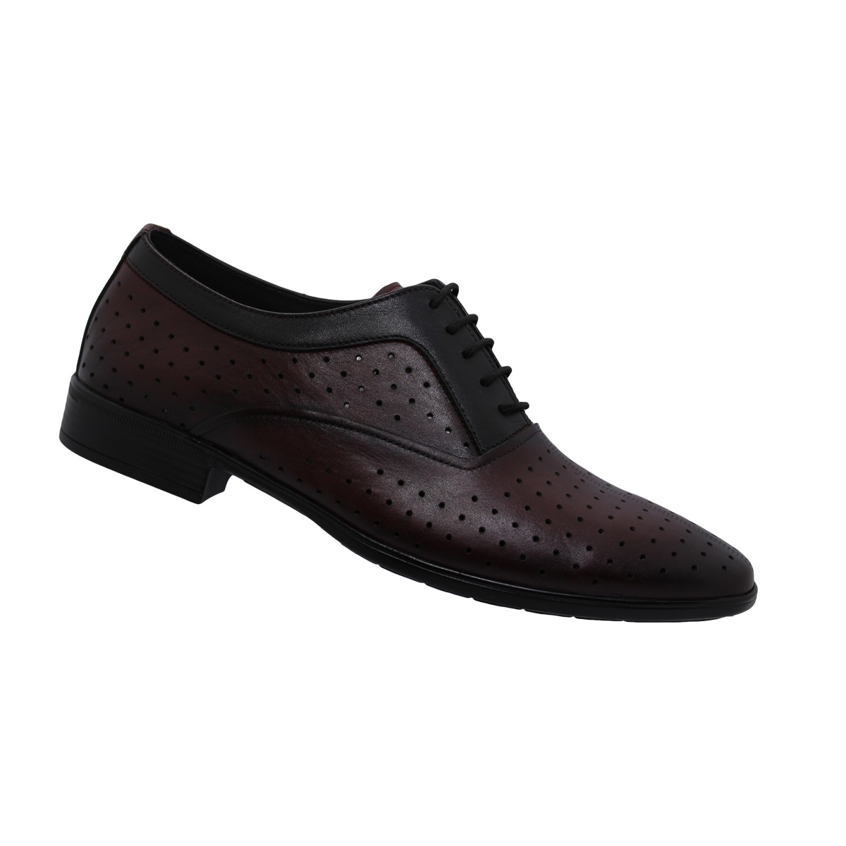 GA-504 BORDO